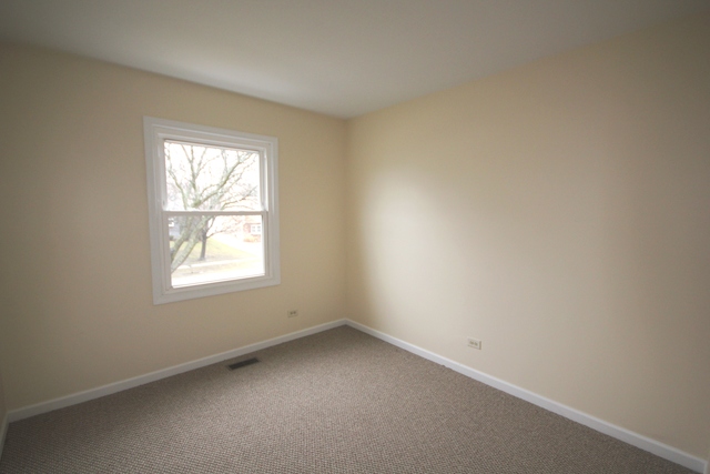 268 E Cleburne Ave, Bartlett, IL 60103 photo 14