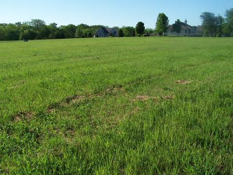3621 E 1759th Rd, Ottawa, IL 61350 photo 3