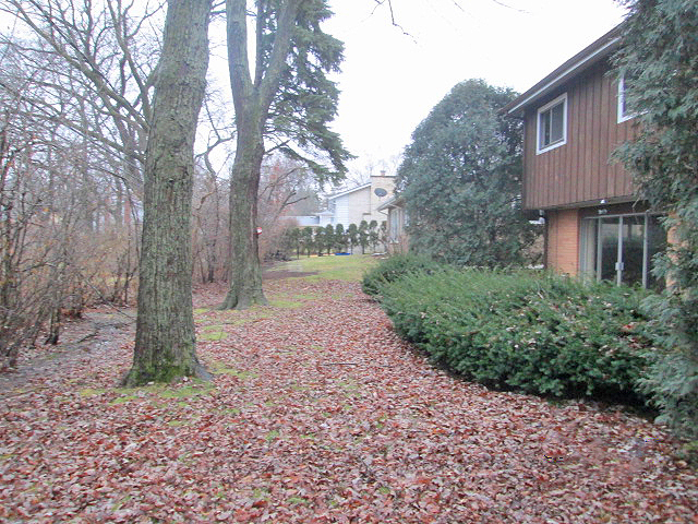 515 Elm St, Glenview, IL 60025 photo 25