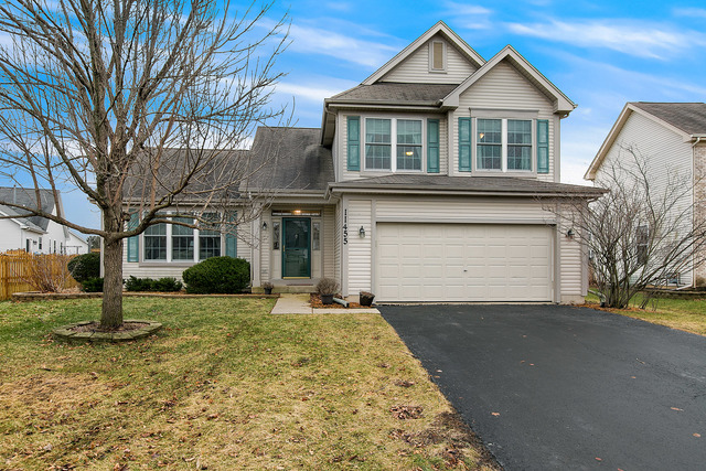 11455 S Preakness Dr, Plainfield, IL 60585 photo 1