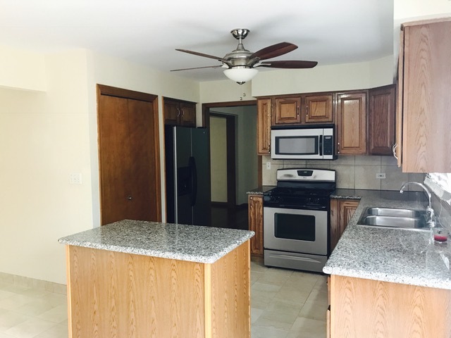 1008 S Harvard Ave, Addison, IL 60101 photo 9