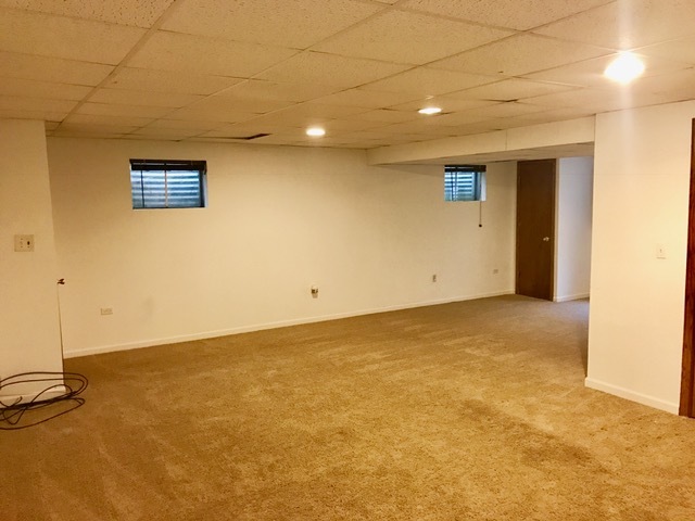 1008 S Harvard Ave, Addison, IL 60101 photo 22
