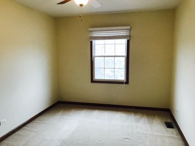1008 S Harvard Ave, Addison, IL 60101 photo 20