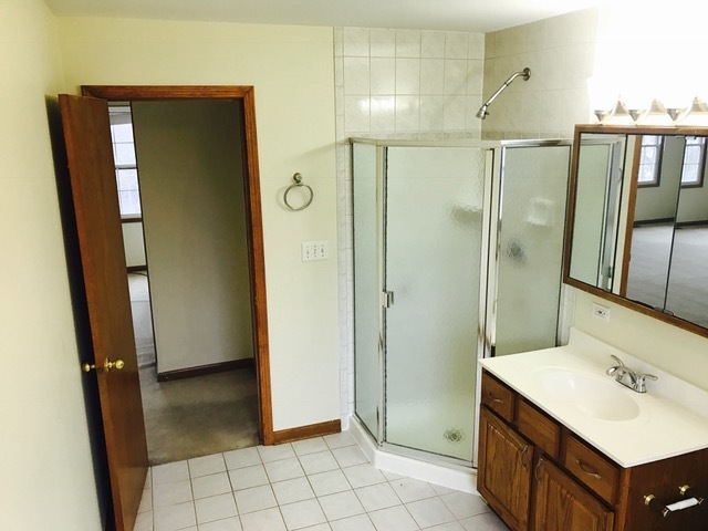 1008 S Harvard Ave, Addison, IL 60101 photo 15