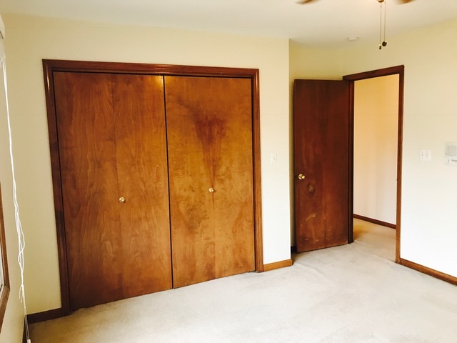 1008 S Harvard Ave, Addison, IL 60101 photo 18