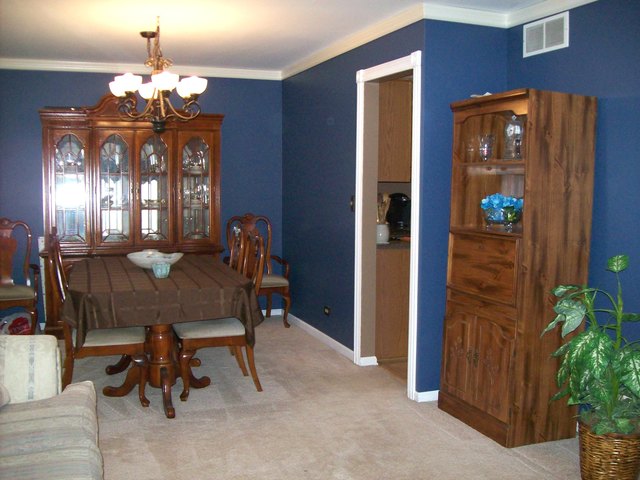 996 Georgian Pl, Bartlett, IL 60103 photo 11