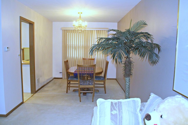 1489 S 4th Ave, Des Plaines, IL 60018 photo 6