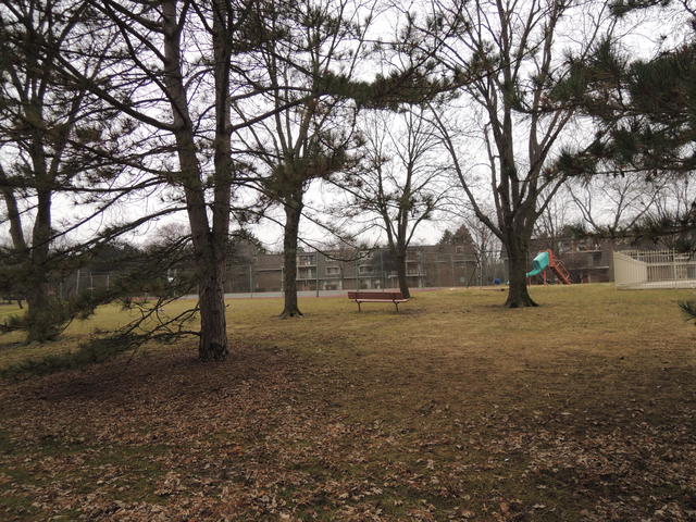 218 E Bailey Rd #D, Naperville, IL 60565 photo 21