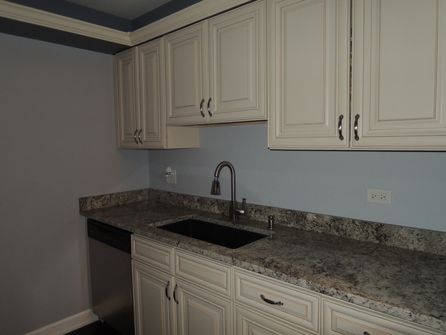 218 E Bailey Rd #D, Naperville, IL 60565 photo 9