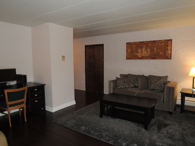 218 E Bailey Rd #D, Naperville, IL 60565 photo 4