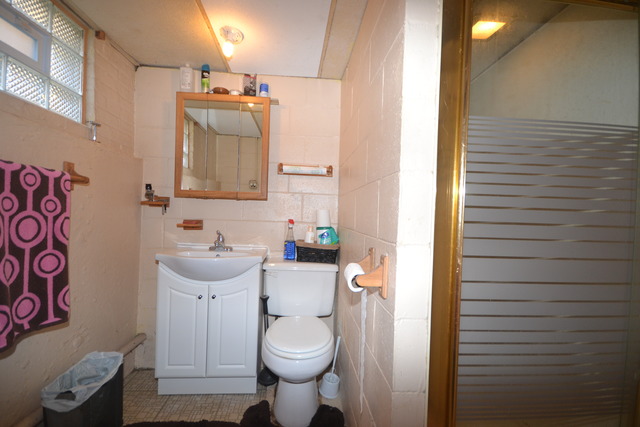 51 E 124th Pl, Chicago, IL 60628 photo 18