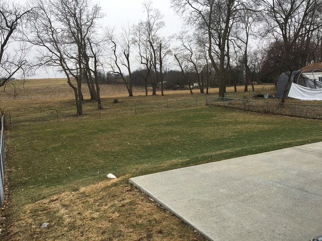 454 W 7th St, Pecatonica, IL 61063 photo 4
