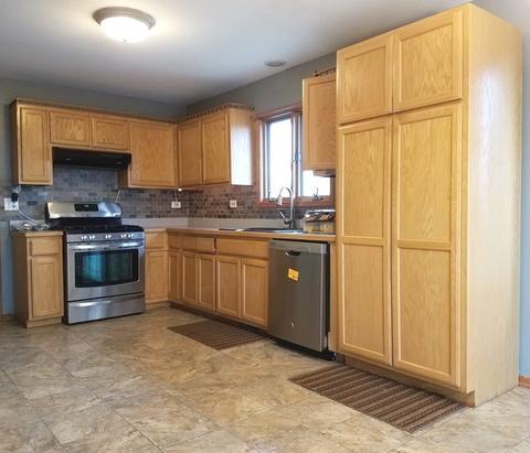 2804 Ruth Fitzgerald Dr, Plainfield, IL 60586 photo 4