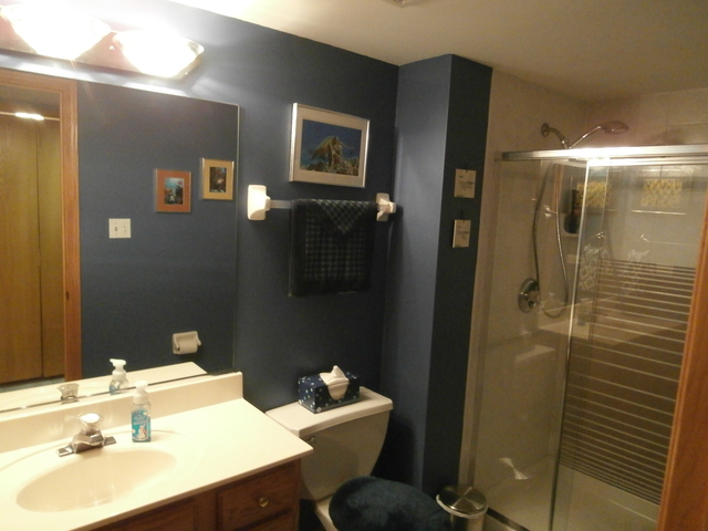 4425 151st St, Midlothian, IL 60445 photo 12