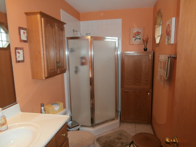 4425 151st St, Midlothian, IL 60445 photo 18
