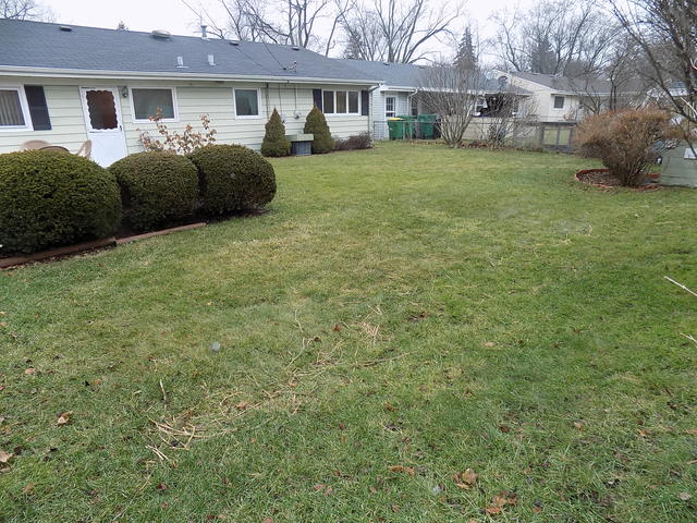239 W Manchester Dr, Wheeling, IL 60090 photo 19