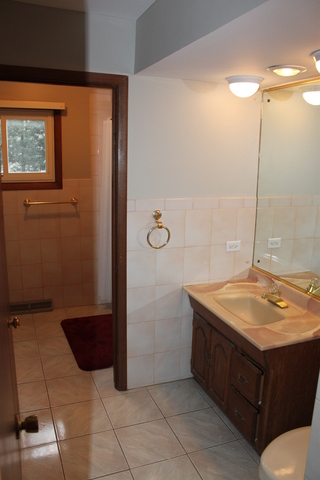 975 Arnold Ct, Des Plaines, IL 60016 photo 11