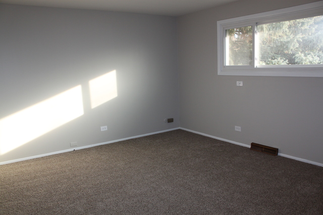 975 Arnold Ct, Des Plaines, IL 60016 photo 18