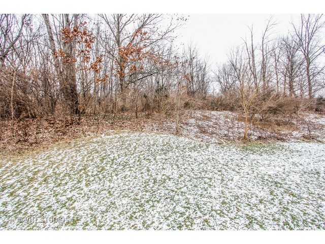 179 Willow Rd, Ingleside, IL 60041 photo 17