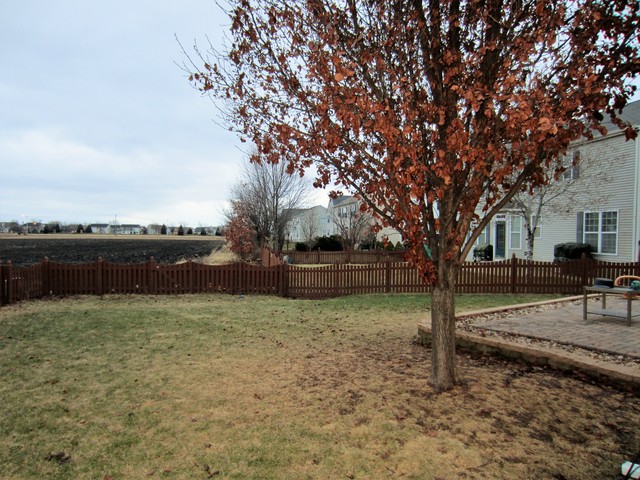 7429 Rosewind Dr, Plainfield, IL 60586 photo 17