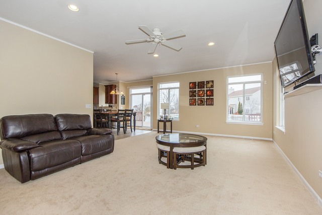 6713 Sahara Dr, Plainfield, IL 60586 photo 7