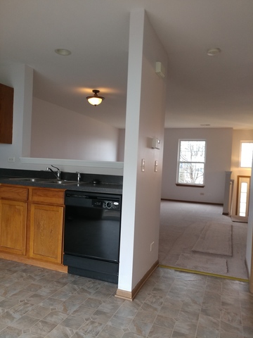 14614 Samuel Adams Dr, Plainfield, IL 60544 photo 9