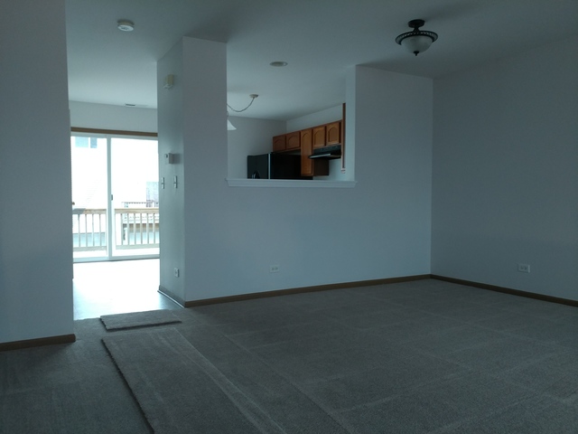 14614 Samuel Adams Dr, Plainfield, IL 60544 photo 8