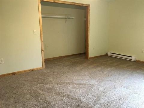 9014 N Leaf River Rd, Leaf River, IL 61047 photo 13
