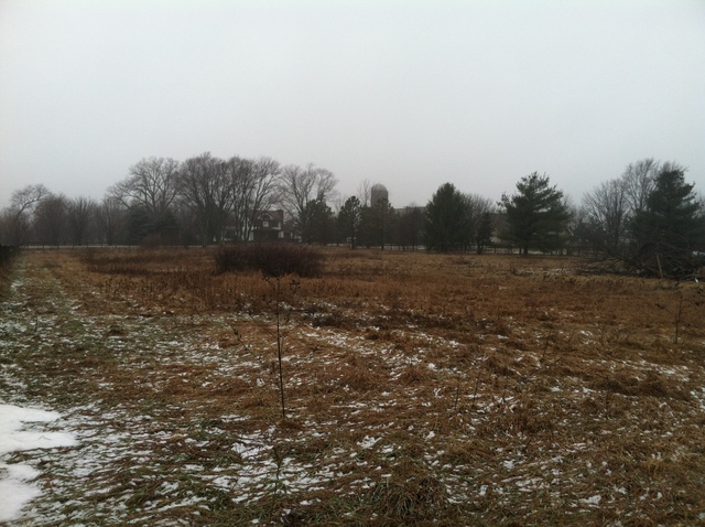 7014 Alden Rd, Harvard, IL 60033 photo 23