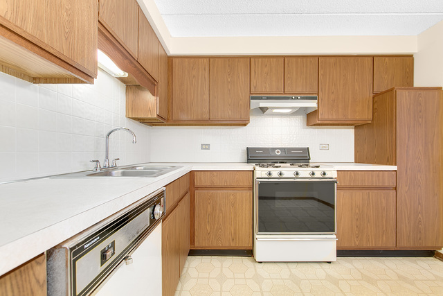 1441 E Thacker St #401, Des Plaines, IL 60016 photo 18