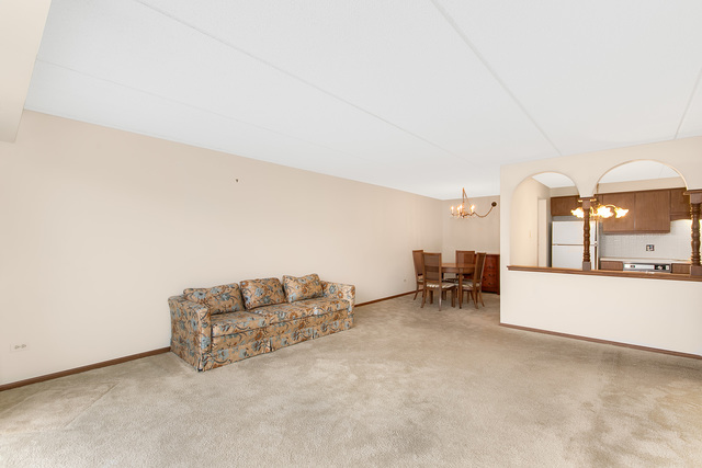 1441 E Thacker St #401, Des Plaines, IL 60016 photo 11