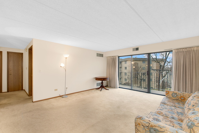 1441 E Thacker St #401, Des Plaines, IL 60016 photo 9