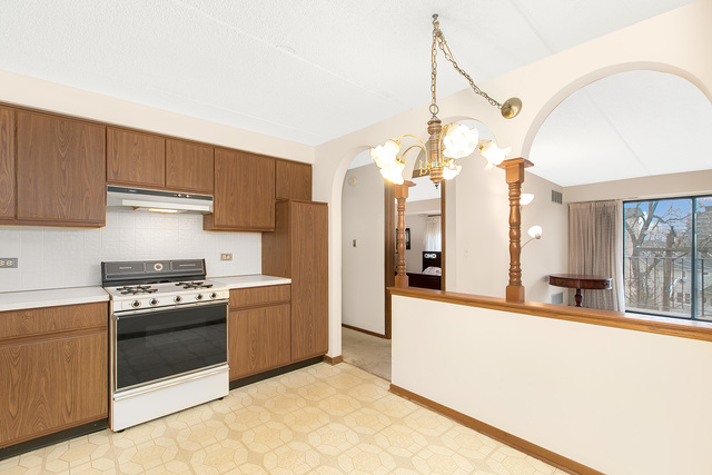1441 E Thacker St #401, Des Plaines, IL 60016 photo 17