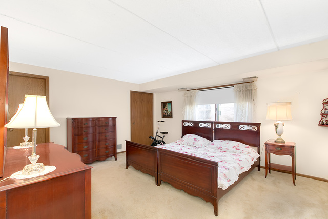 1441 E Thacker St #401, Des Plaines, IL 60016 photo 3