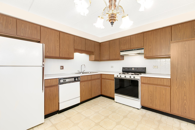 1441 E Thacker St #401, Des Plaines, IL 60016 photo 15