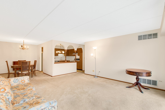 1441 E Thacker St #401, Des Plaines, IL 60016 photo 10