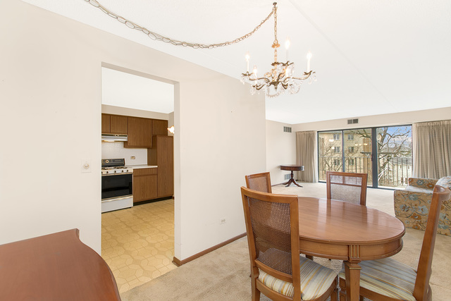 1441 E Thacker St #401, Des Plaines, IL 60016 photo 14