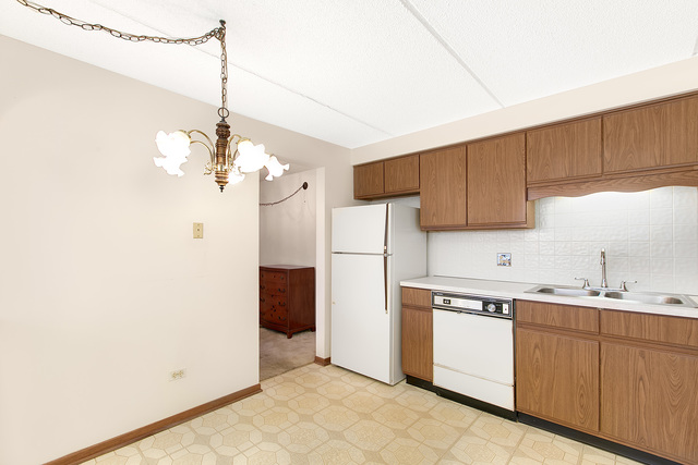 1441 E Thacker St #401, Des Plaines, IL 60016 photo 16
