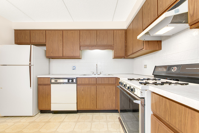 1441 E Thacker St #401, Des Plaines, IL 60016 photo 19