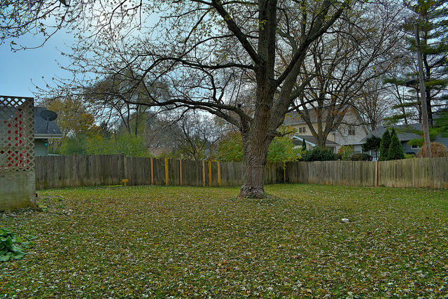 224 S Beverly St, Wheaton, IL 60187 photo 22