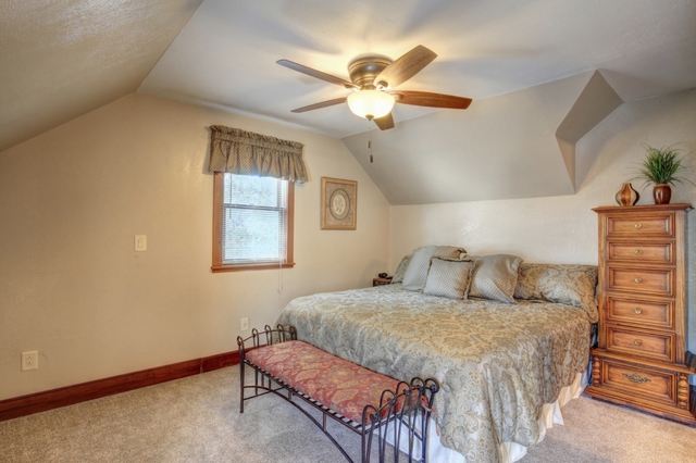 449 Macon St, Bement, IL 61813 photo 20