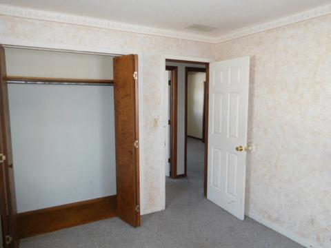 433 N Piatt St, Bement, IL 61813 photo 13