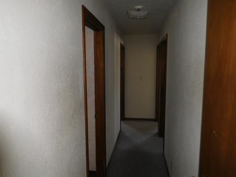 433 N Piatt St, Bement, IL 61813 photo 7