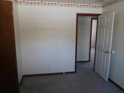 433 N Piatt St, Bement, IL 61813 photo 9