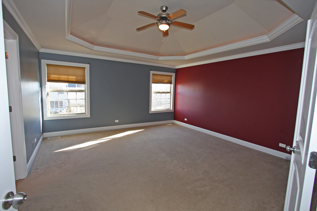 12841 Barrow Ln, Plainfield, IL 60585 photo 10