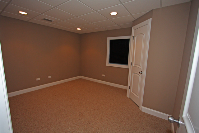 12841 Barrow Ln, Plainfield, IL 60585 photo 17