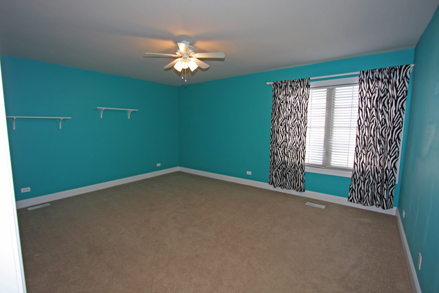 12841 Barrow Ln, Plainfield, IL 60585 photo 16