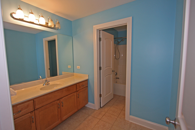 12841 Barrow Ln, Plainfield, IL 60585 photo 15