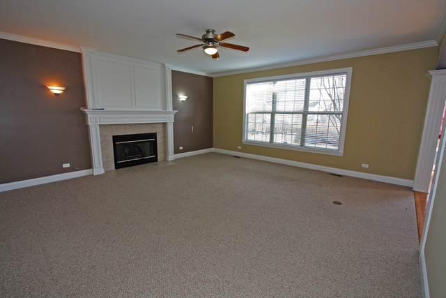12841 Barrow Ln, Plainfield, IL 60585 photo 9