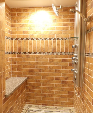 11419 S Emerald Ave, Chicago, IL 60628 photo 25